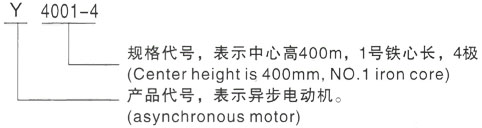 西安泰富西玛Y系列(H355-1000)高压YE2-90L-2三相异步电机型号说明